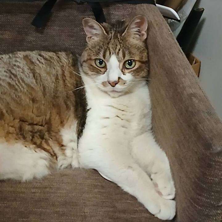 650f108d ae5a 4ccc 8602 54db1e52677b 1751173845946