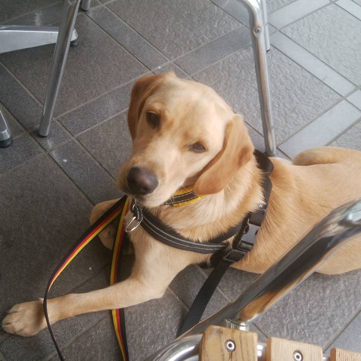 650f6082 73c9 463d 8c93 b0f9b8f024d8 1511487014808