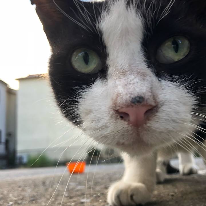 650feb9a 2364 4071 9b17 29365939bd25 1540993812833