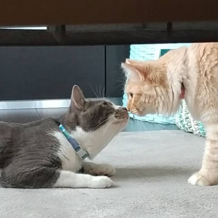 65102b90 be74 4474 993d 5f543f831bce 1623552976641