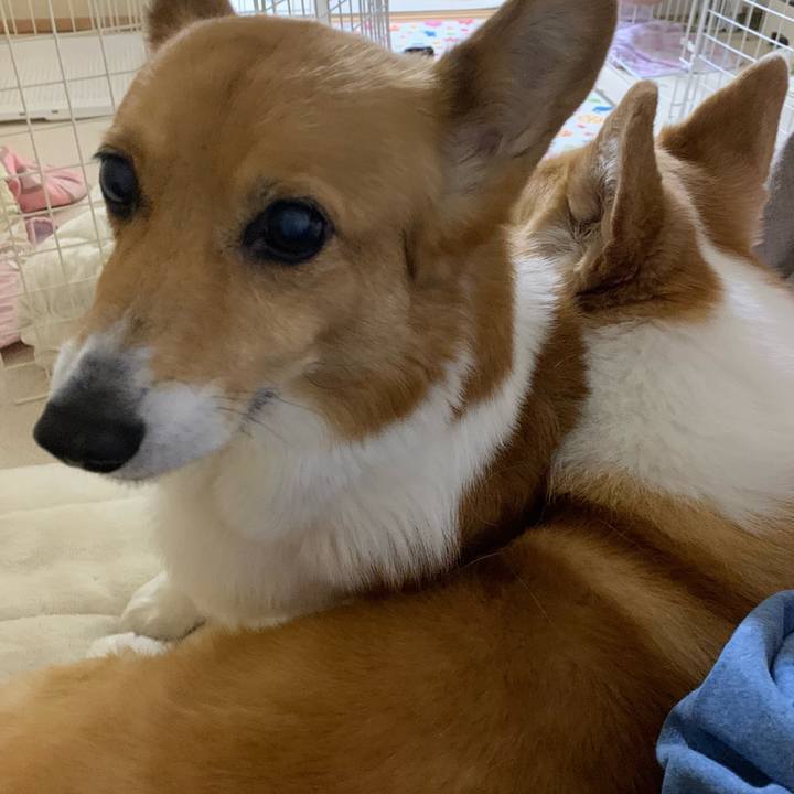 651035bf 54a3 4f2f 9bee 05ba07e18478 1712651932563