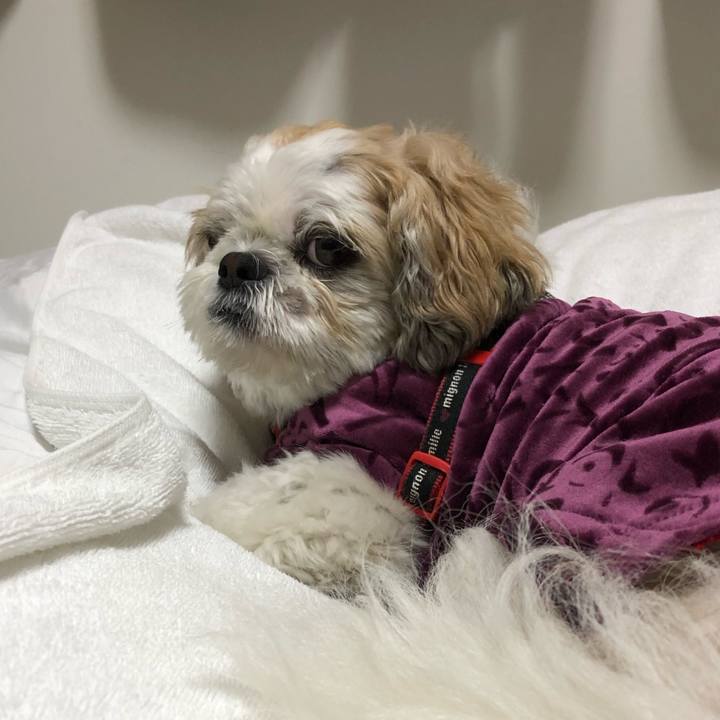 651052c7 3789 4671 a29e 4fa6523d0c19 1577335387118