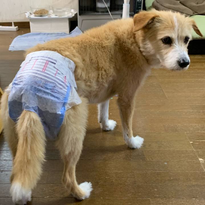 6510600f c45c 4577 98e0 a4a55ccfb941 1621067791828