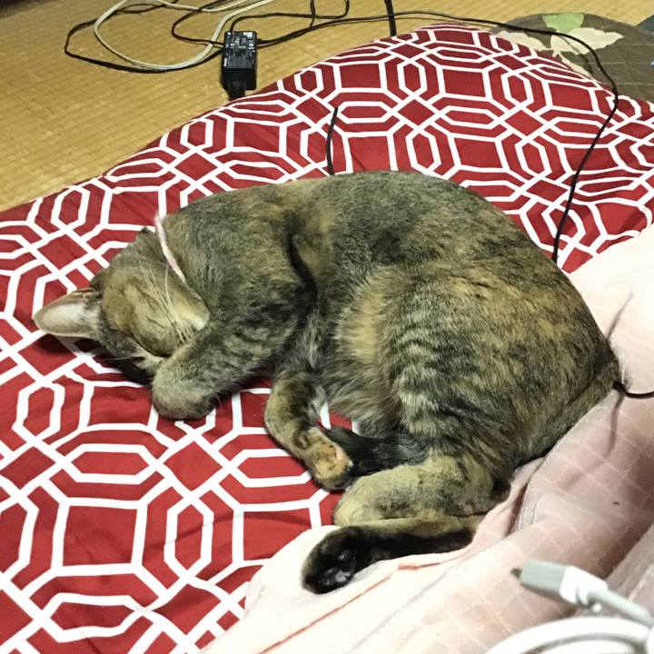 651064de 9ba2 4905 9d5f 027dfc93bec3 1615610744986