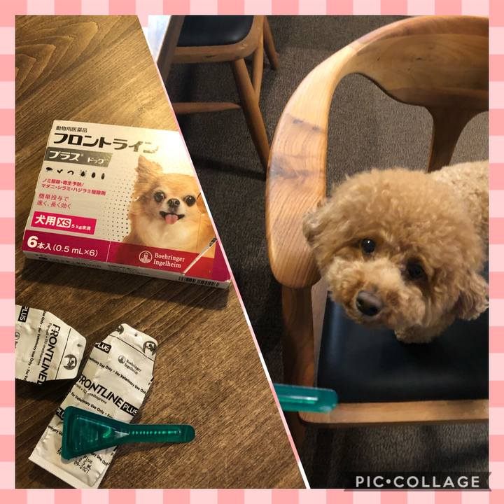 6510c4ed 8a12 4cb6 bf34 aceb9ccebe8c 1594717715049