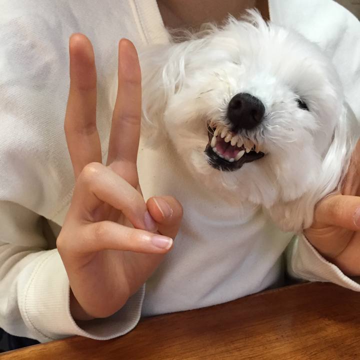 651112f5 67cd 42d9 baa5 5e7d3122b9b8 1525331961697