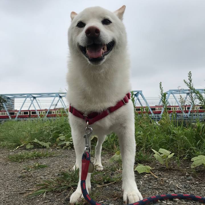 6511312a 646d 42f3 aa61 3565c56f2179 1535501077535