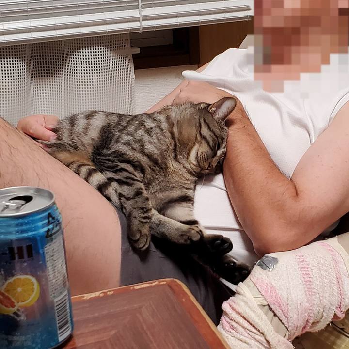 6511377b 2df7 4ac0 84b8 1dd03506e3a5 1696342179253