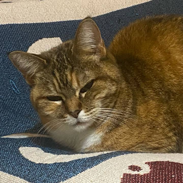 65115748 a060 465d 9e14 66962983410e 1742311117005