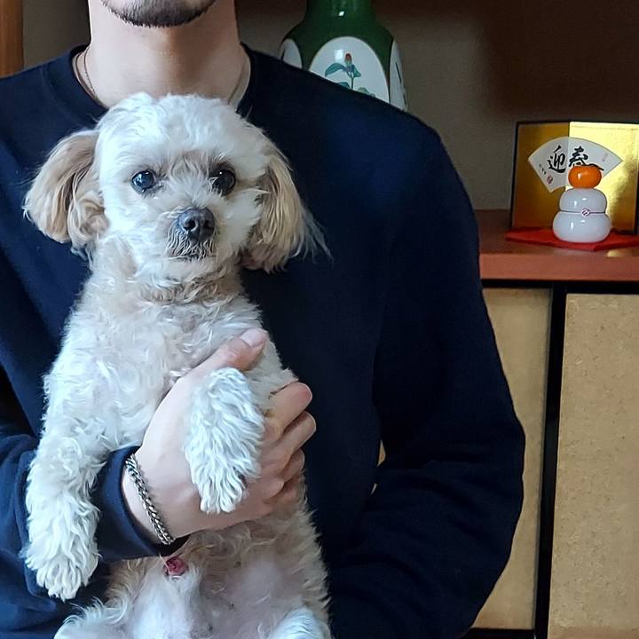 6511dbbd 3567 4036 b2f7 5659a148c0fc 1672732446318