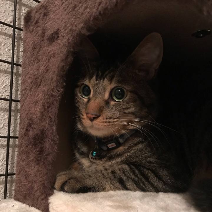 65127451 4304 47e4 be11 4b1fb6155f66 1567177127655