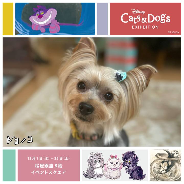 65127ec7 d1c4 4259 9725 db0034c93e4e 1639344534479