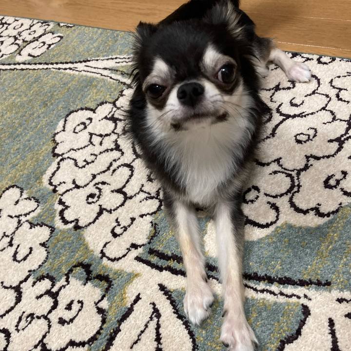 6512e576 a692 4534 83dd bc00f1538203 1628431759741