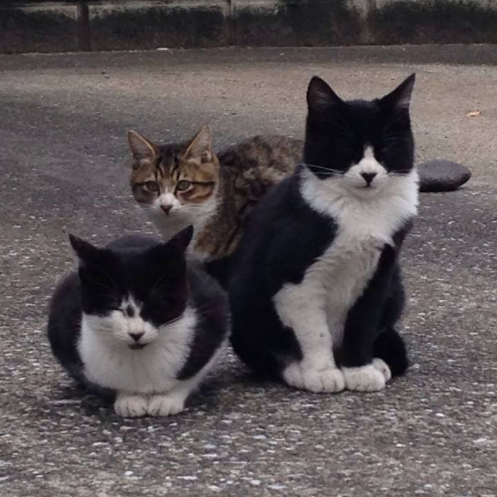 651306a5 02e8 4fa0 9f78 62b5262f218e 1508851255675