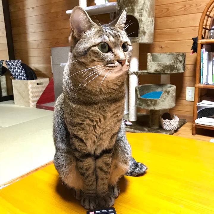 65131948 e061 41cf b0be c9ed78609061 1531748478740