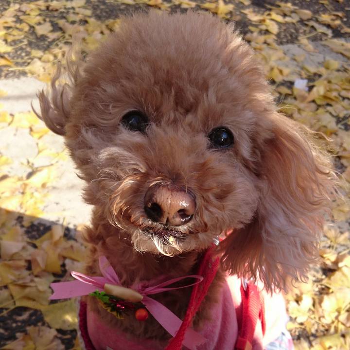 65136a27 1990 4ea5 8260 13a0c8708812 1511696348735