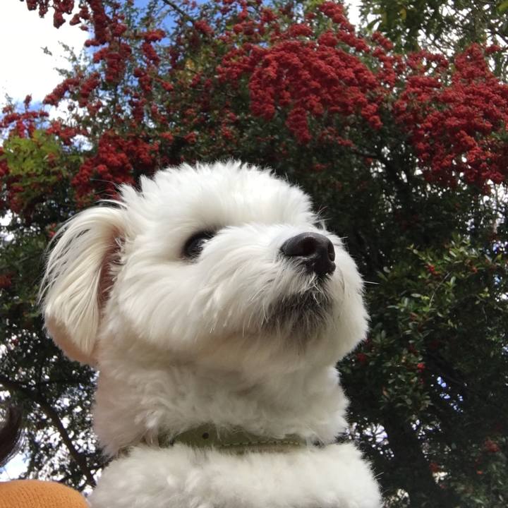 65139471 4542 458e acab ad2ef48f2b29 1542681034441