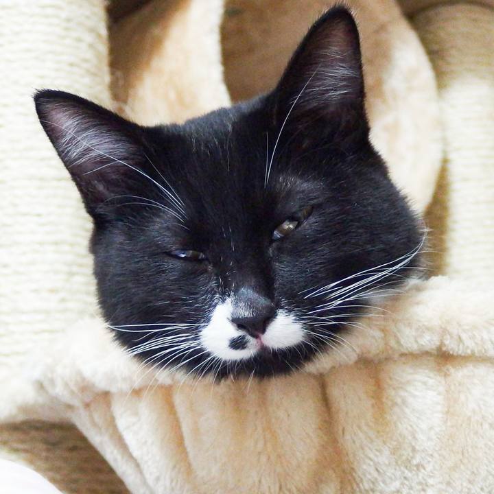 6513b2ba d8ed 445e 8a85 1309500b655c 1509207309191