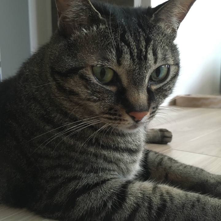 6513bf47 b2fd 4fd9 a0e0 a760e44c8bc5 1591403507730