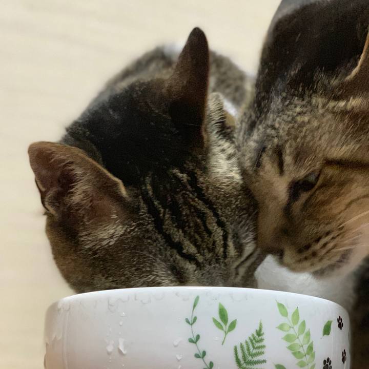 6513ca21 3e13 4440 be18 b3f986371bba 1591148310217