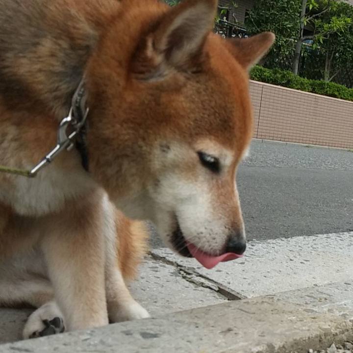 65144f15 87d4 46b8 958b a7e41bb4f143 1626070229076