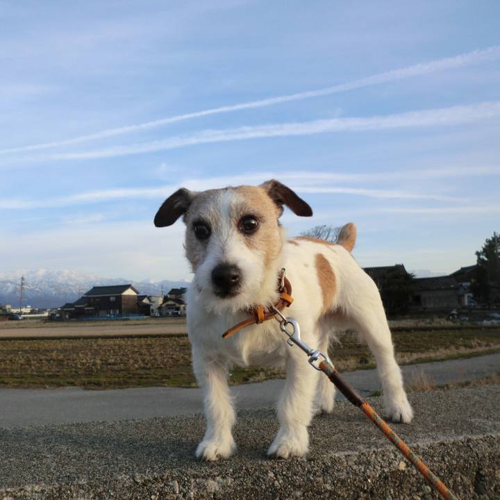 65145b96 da1b 49c0 b2b9 e034ff67c016 1552373950943