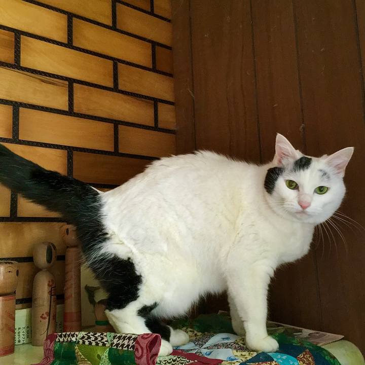 65146a41 23e8 414a baf5 5adfa5dd390b 1620285680645