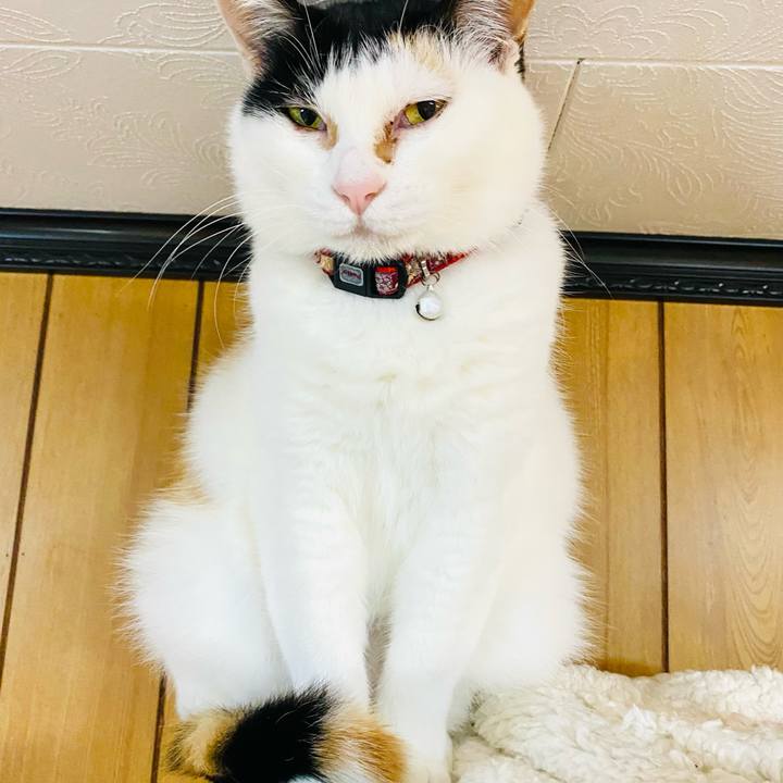 65146efe a04d 4313 b7c8 5809bfd4f245 1679482638389