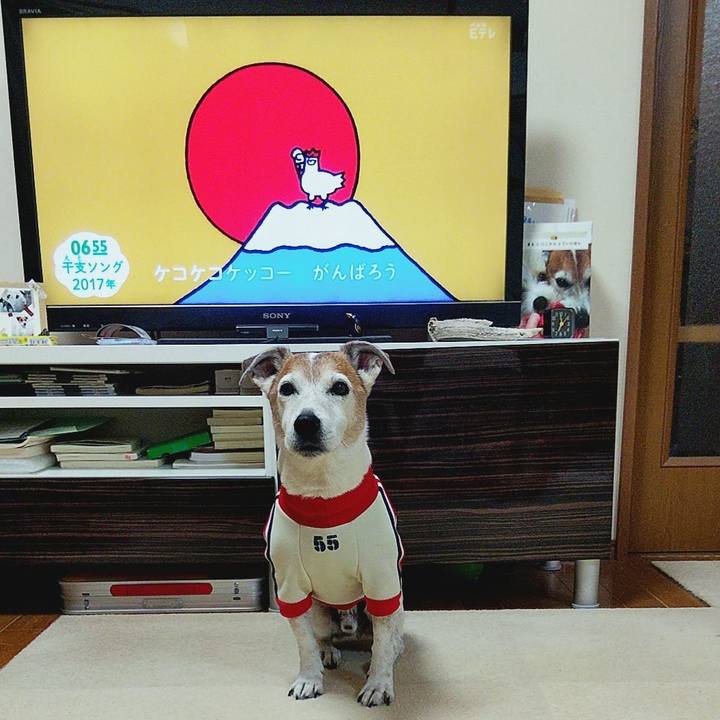 651483c0 cfac 4005 b5c9 0d87ed0ed4cf 1580162753112