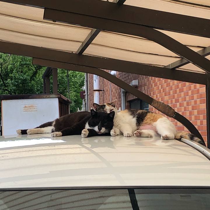 65148b62 fc33 459a b426 6d60989a2ffd 1561727734213