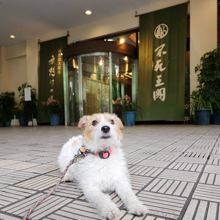 6514add6 6c1c 4220 836c a044dda8b585 1717279135685