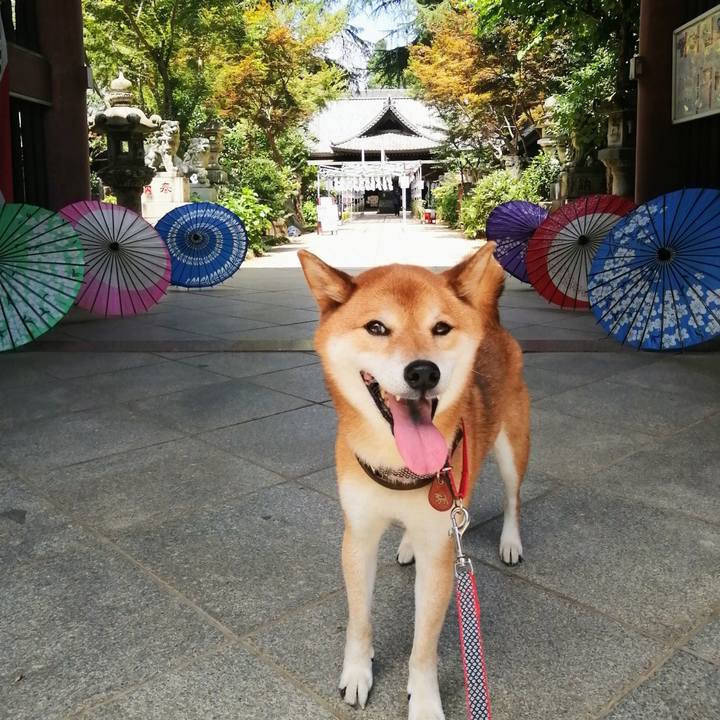 6514ba0d 4a8a 42e5 963a 56312a998f11 1628081216108