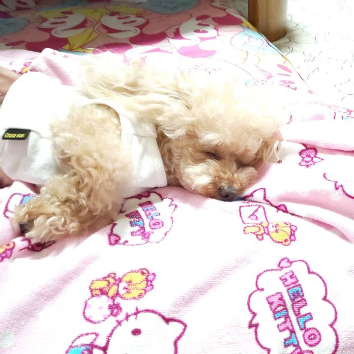 6514cd0c f8c5 42d7 bba0 49947c3e3e8e 1566478925549