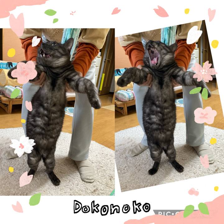 6514d44d 4b81 47c0 b9c7 4880e52fb931 1711587113654