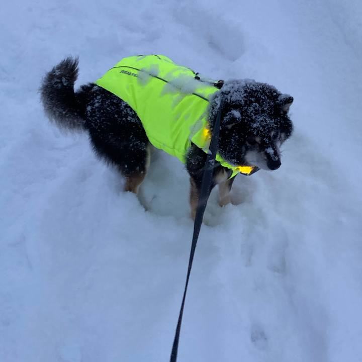 6514df96 89ef 4017 a50e 5634f0cc5b2c 1735032741483