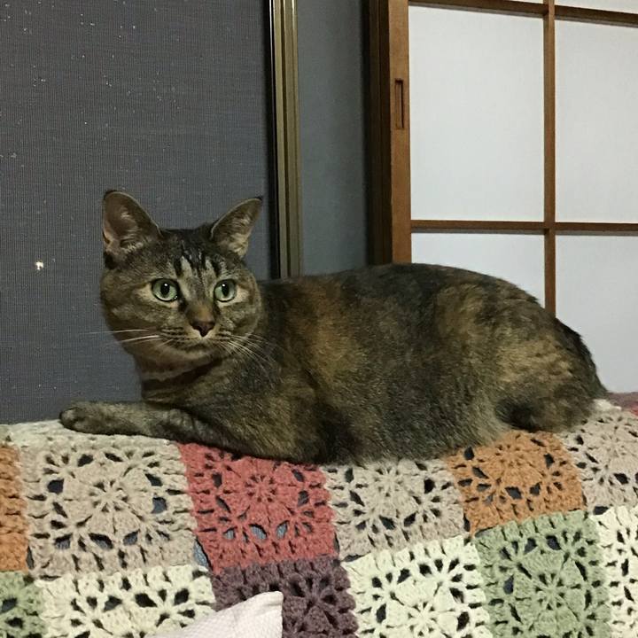 6514f269 a2c0 4b35 966b 3890e764bdcd 1721990762561