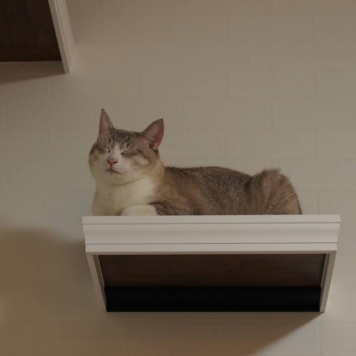 6514ff36 1707 4757 ad90 893c57b33816 1539559341443