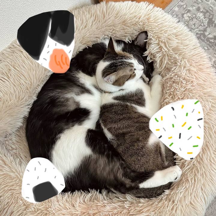 65150116 ed10 48cb b43d b935bc10b809 1770621315707