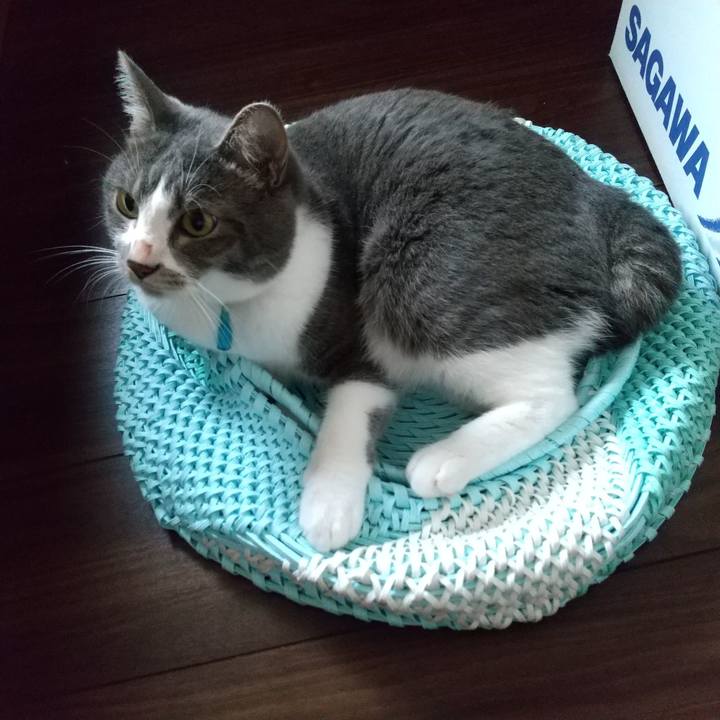 6515270c 28f5 49ba 98ff e5ebb7ca3ca4 1626300365998