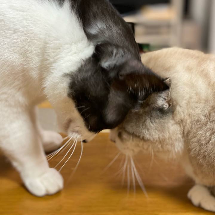 651562a6 41f6 450e 9bc1 d43018ba5cd3 1610027276660