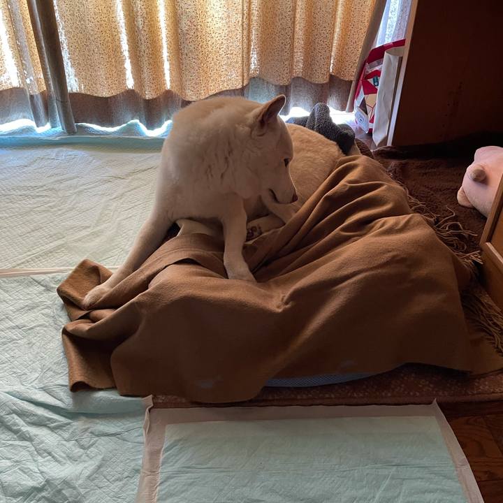 6515969e e87b 4402 b251 ca3c5e55e27b 1634859829746