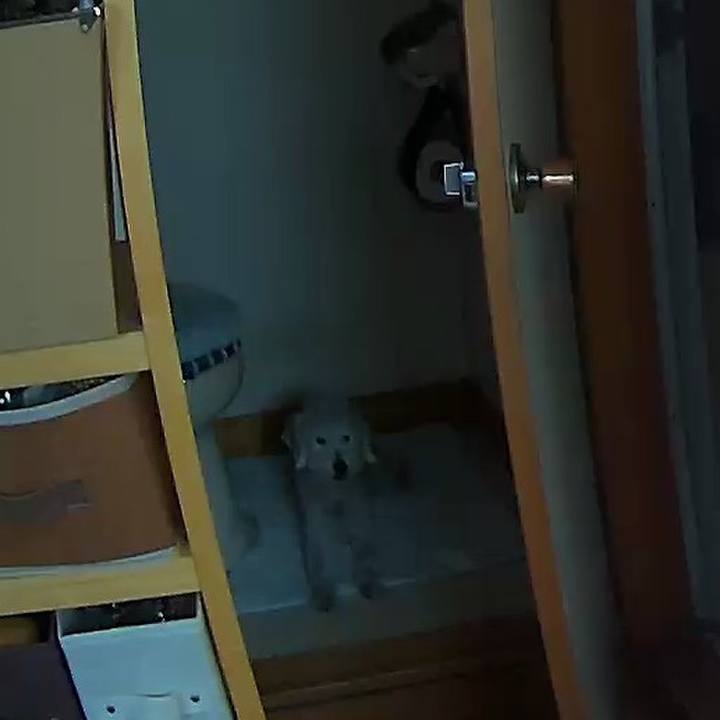 6515bec5 3d7a 4770 9ca2 3484a2924f6c 1593510330353