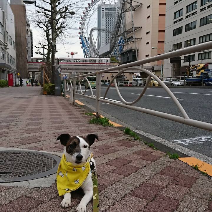 65161947 8c77 43e1 b3ae 35d2e2f0ceb9 1521875165457