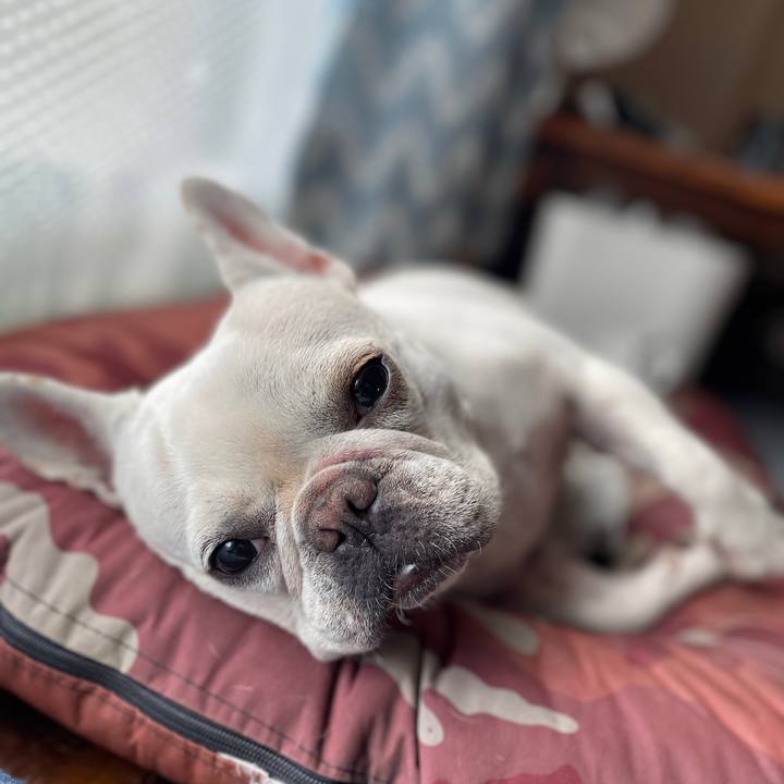 65162686 cc42 4eb0 9854 f63ac7f65f13 1730189726474