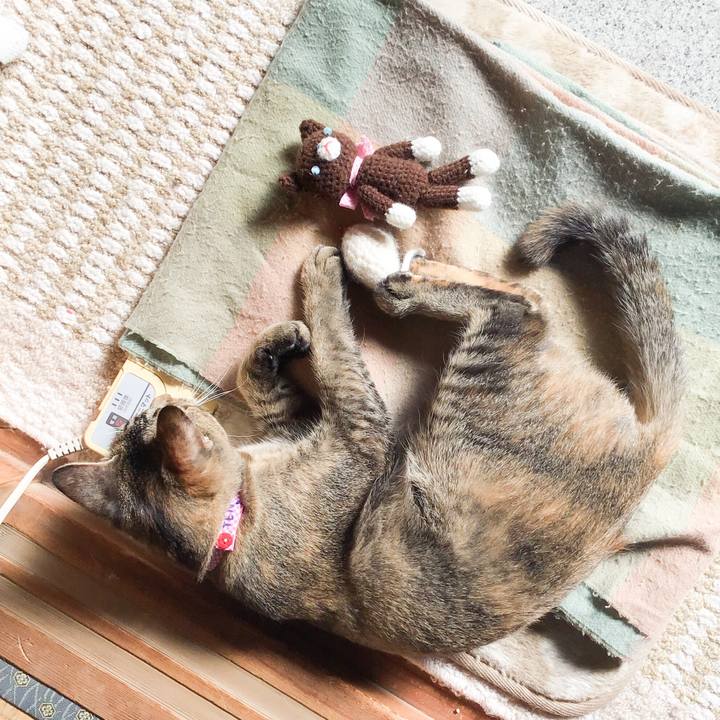 6516502b 4ecb 4c66 8a03 30f4769edfc3 1573184901270