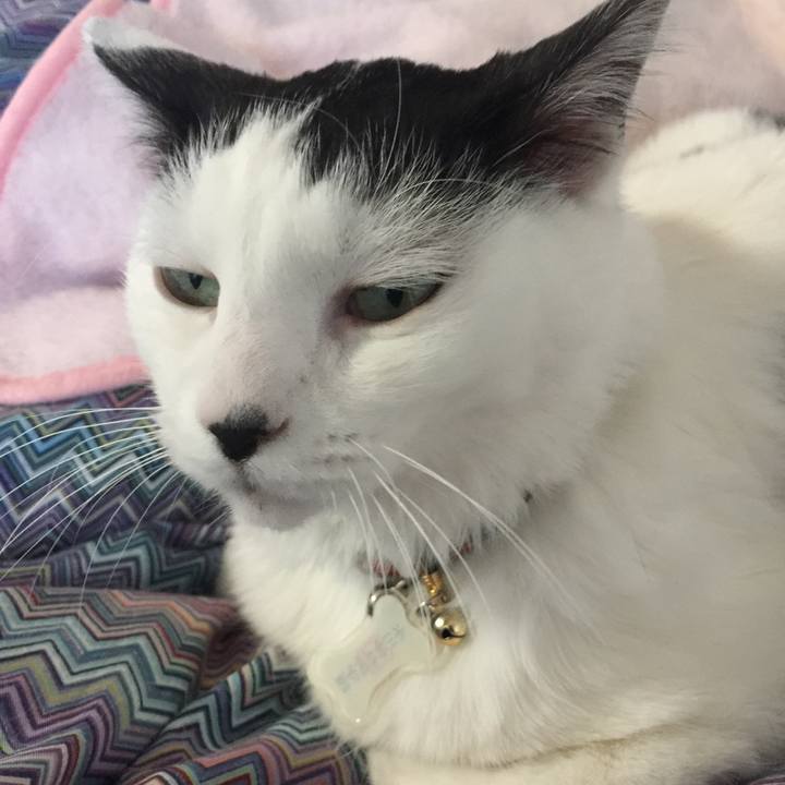 65169611 120e 4a4e 8bbc bf3b552a1e94 1512431046294