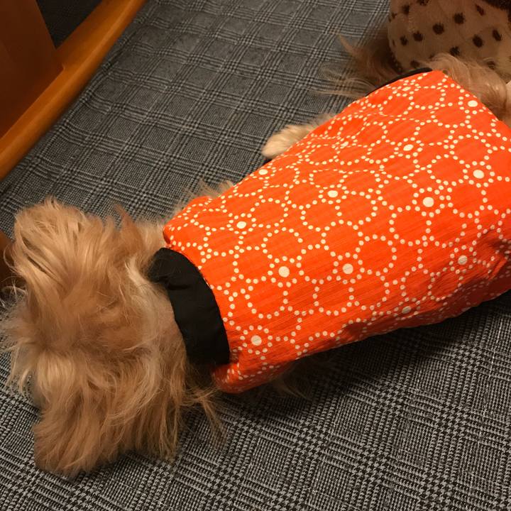 6516ad7d 2289 4e35 a067 f6f8849c1cfa 1550658225968