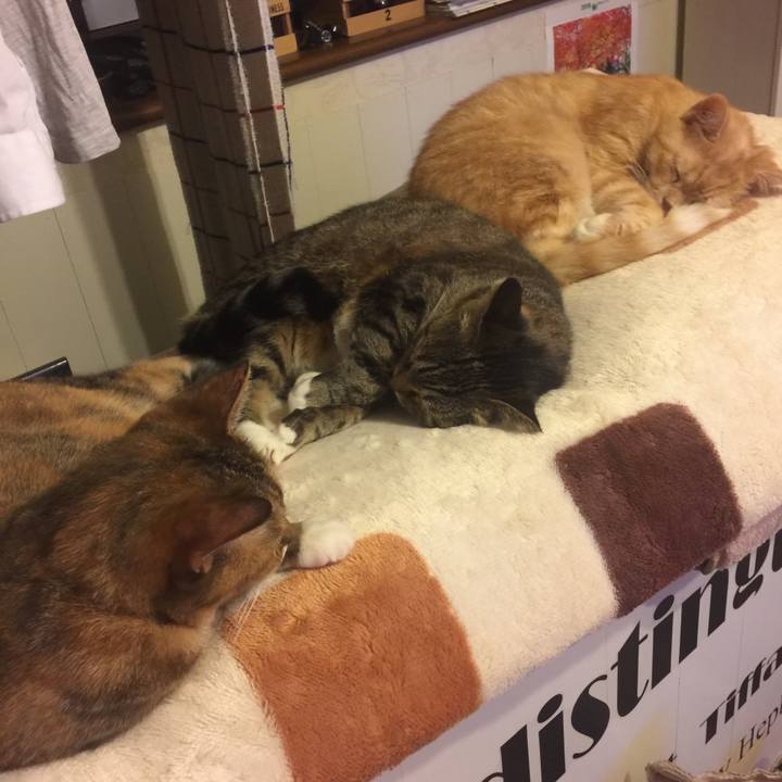 6516dae1 1430 408e b2c9 e37a2648ea9c 1571586003852