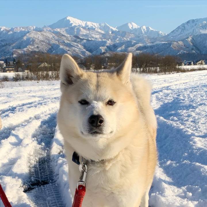 6516f3b4 f6ed 4fd2 a52e 2ac4edd72bf1 1705226193187