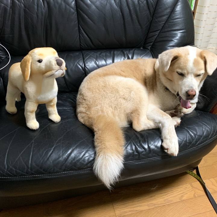 6517313a e11d 4371 a056 3097e58cc354 1602157435828